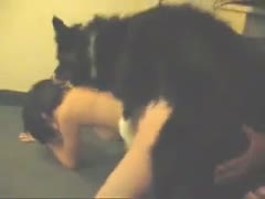 Doggystyle hardcore fucking for this non-professional webcam model who enjoys zoophilia sex with K9